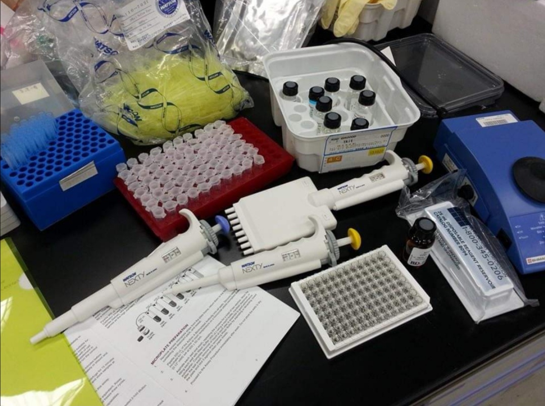 Cortisol, EIA Kit, DetectX, Strip Plate (96well)